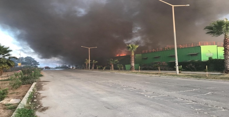 Adana’da nişasta fabrikasında yangın