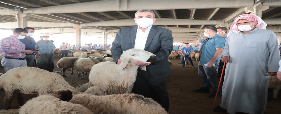 BAŞKAN BEYAZGÜL HAYVAN BORSASI ESNAFINI ZİYARET ETTİ