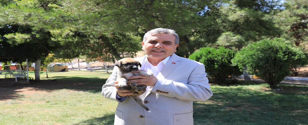 BAŞKAN BEYAZGÜL, HAYVAN BARINAĞINI ZİYARET ETTİ