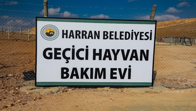 HARRAN BELEDİYESİ SOKAK HAYVANLARINI UNUTMADI, ÇALIŞMALARDA SONA GELİNDİ